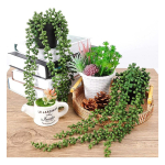 Planta Artificial Decorativa Planta De Rosario - 60cm - Imagen 5