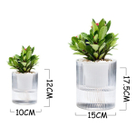 Maceta Para Hidroponia 10cm Plantas Jardín Decoración - Imagen 4