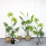 Planta Artificial En Maceta Simil Palma 180cm Traelo Shop - Imagen 2