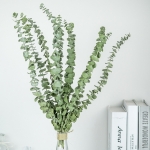 Pack X 5 Rama De Eucalipto Seca Real Hoja Ideal Decoracion - Imagen 5