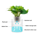 Maceta Para Hidroponia 10cm Plantas Jardín Decoración - Imagen 5