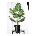 Hojas Artificiales Costilla Adán 60x22cm Flores, Set X 10 - Imagen 3