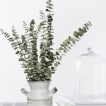 Pack X 5 Rama De Eucalipto Seca Real Hoja Ideal Decoracion - Imagen 7
