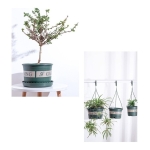 Maceta Redonda En Plastico Decorativa Jardineria 20cm - Imagen 6