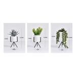 Set 3 Mini Macetas Nórdicas Decoración (cactus, Bonsai) - Imagen 3